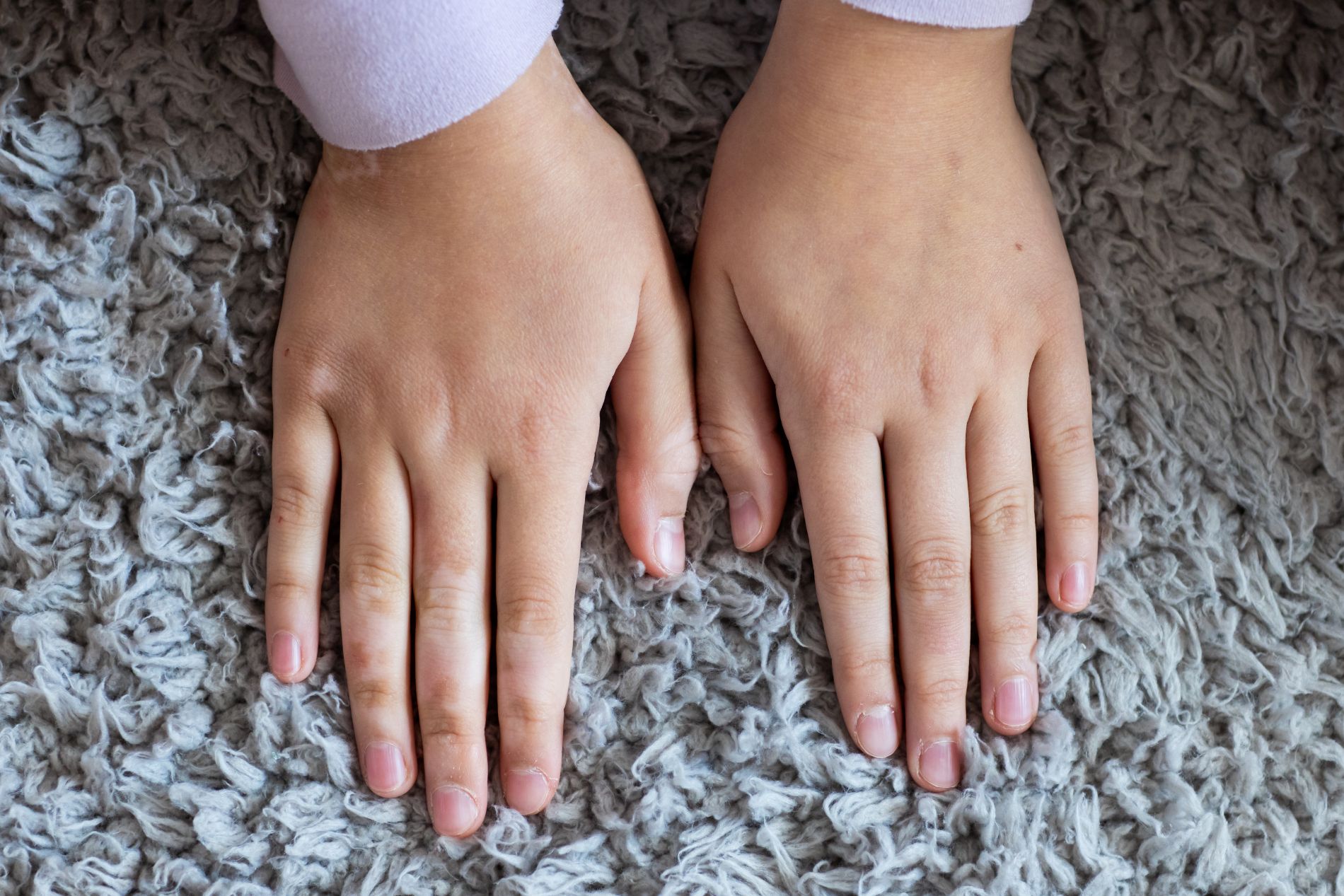 Professional carpet, upholstery, tile, grout, and area rug cleaning
